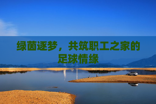 绿茵逐梦，共筑职工之家的足球情缘