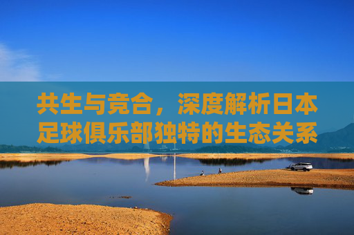 共生与竞合，深度解析日本足球俱乐部独特的生态关系