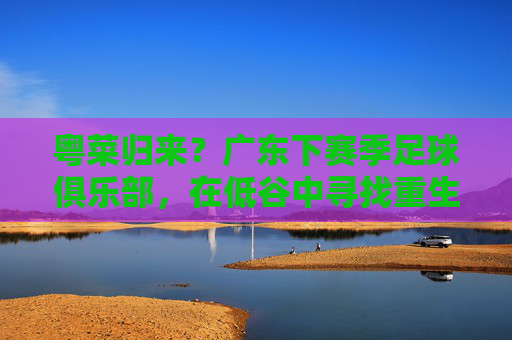 粤菜归来?广东下赛季足球俱乐部,在低谷中寻找重生之路