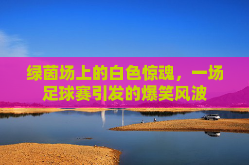 绿茵场上的白色惊魂,一场足球赛引发的爆笑风波