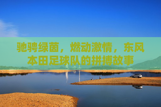 驰骋绿茵,燃动激情,东风本田足球队的拼搏故事