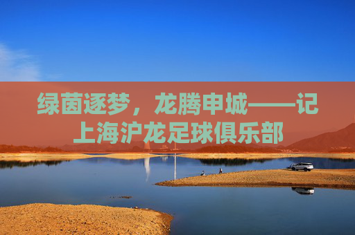 绿茵逐梦，龙腾申城——记上海沪龙足球俱乐部
