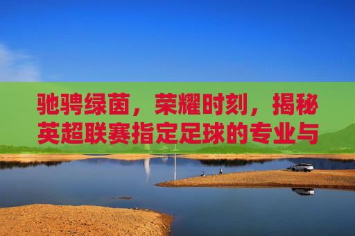 驰骋绿茵,荣耀时刻,揭秘英超联赛指定足球的专业与传奇