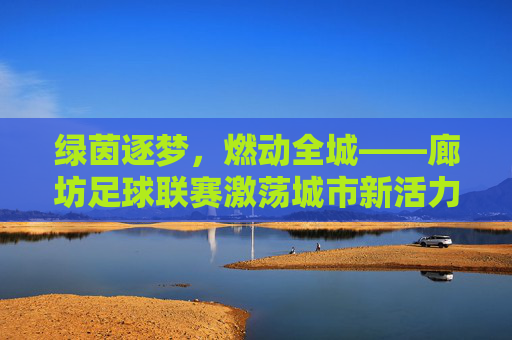 绿茵逐梦,燃动全城——廊坊足球联赛激荡城市新活力