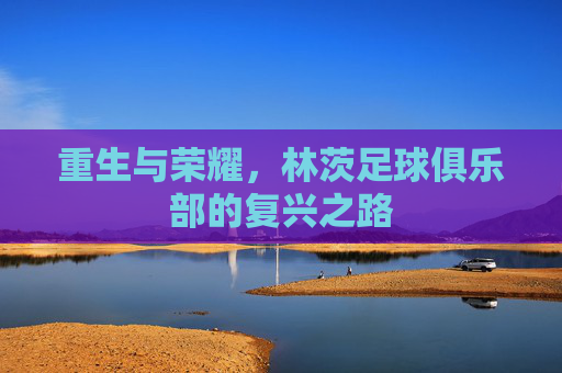 重生与荣耀,林茨足球俱乐部的复兴之路