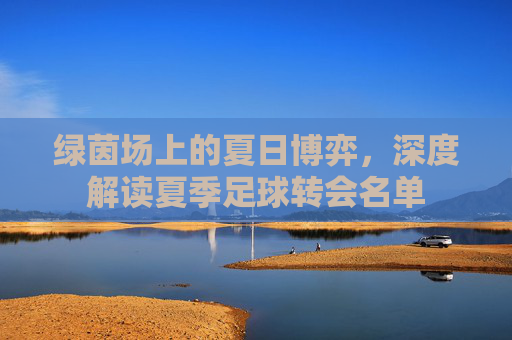 绿茵场上的夏日博弈，深度解读夏季足球转会名单