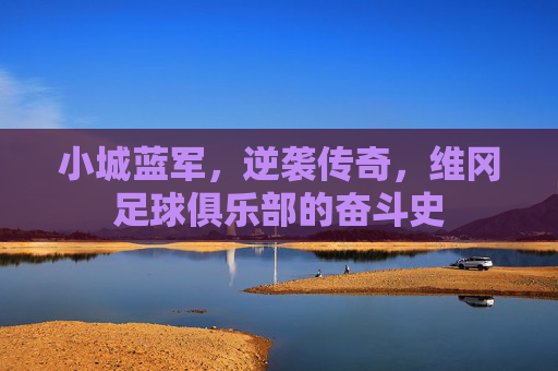 小城蓝军,逆袭传奇,维冈足球俱乐部的奋斗史