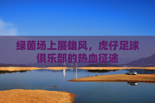 绿茵场上展雄风，虎仔足球俱乐部的热血征途