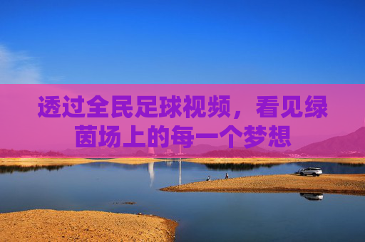 透过全民足球视频,看见绿茵场上的每一个梦想