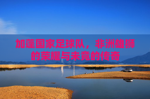 加蓬国家足球队,非洲雄狮的荣耀与未竟的传奇