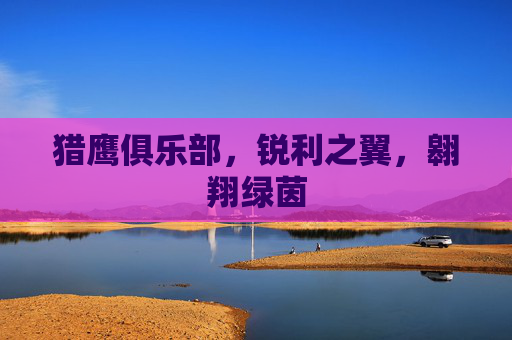 猎鹰俱乐部，锐利之翼，翱翔绿茵