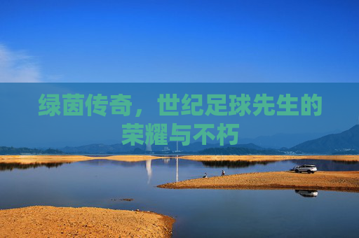 绿茵传奇,世纪足球先生的荣耀与不朽