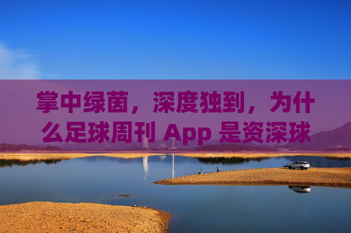 掌中绿茵，深度独到，为什么足球周刊 App 是资深球迷的必备神器？