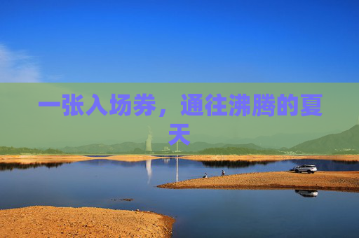 一张入场券,通往沸腾的夏天