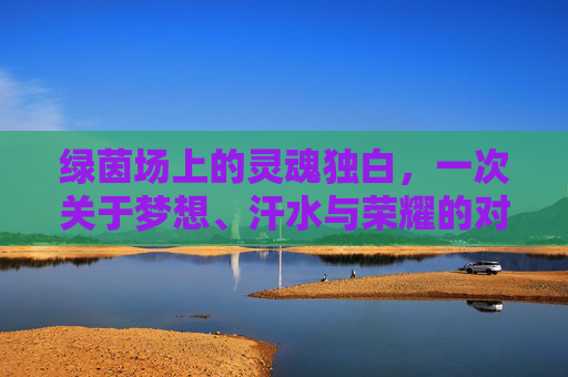 绿茵场上的灵魂独白,一次关于梦想、汗水与荣耀的对足球运动员的采访