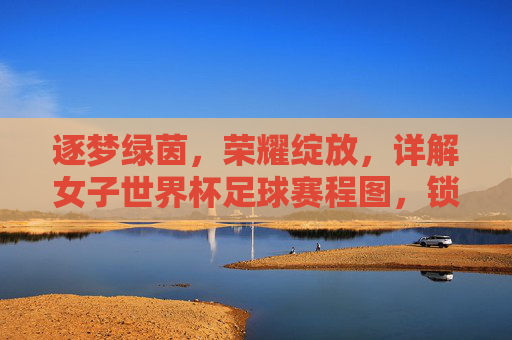 逐梦绿茵,荣耀绽放,详解女子世界杯足球赛程图,锁定每一场高光时刻