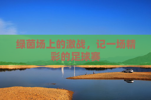 绿茵场上的激战,记一场精彩的足球赛