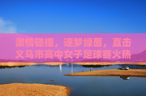 激情碰撞,逐梦绿茵,直击义乌市高中女子足球赛火热现场