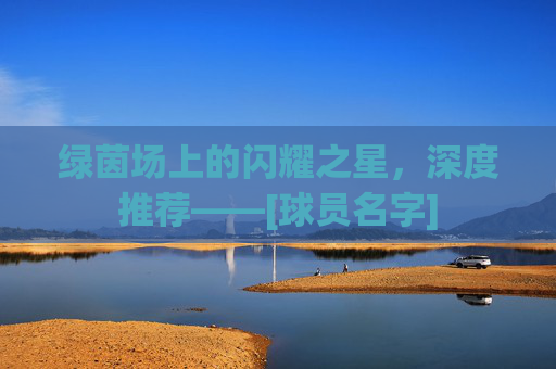 绿茵场上的闪耀之星，深度推荐——[球员名字]