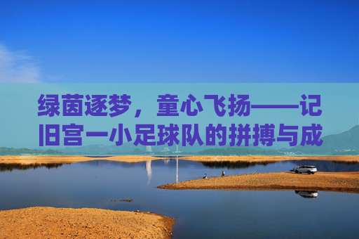 绿茵逐梦，童心飞扬——记旧宫一小足球队的拼搏与成长
