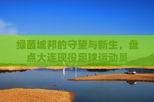 绿茵城邦的守望与新生，盘点大连现役足球运动员