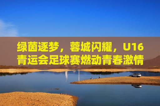 绿茵逐梦,蓉城闪耀,U16青运会足球赛燃动青春激情
