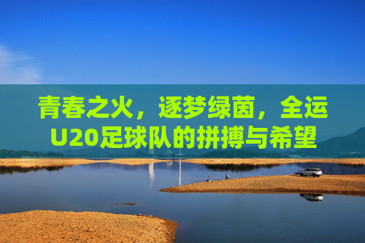 青春之火，逐梦绿茵，全运U20足球队的拼搏与希望