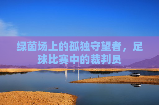 绿茵场上的孤独守望者,足球比赛中的裁判员
