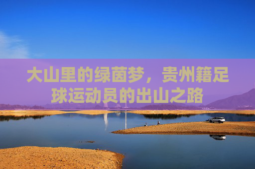 大山里的绿茵梦,贵州籍足球运动员的出山之路