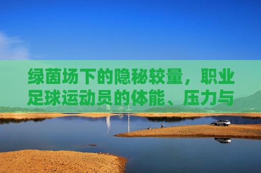 绿茵场下的隐秘较量,职业足球运动员的体能、压力与性能力探析