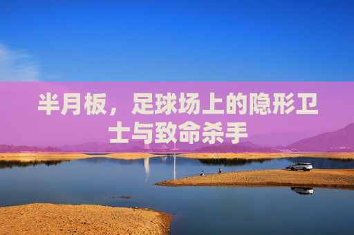 半月板，足球场上的隐形卫士与致命杀手