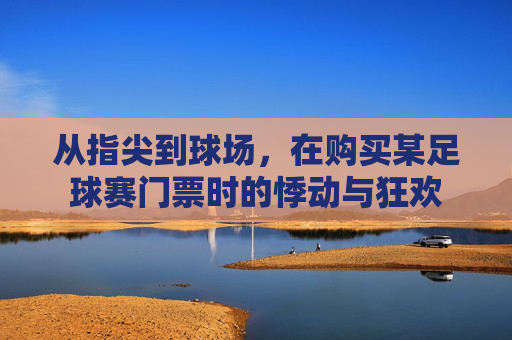 从指尖到球场,在购买某足球赛门票时的悸动与狂欢