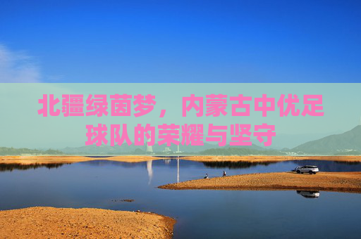 北疆绿茵梦,内蒙古中优足球队的荣耀与坚守