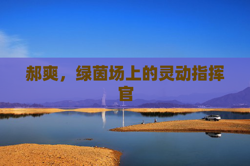 郝爽,绿茵场上的灵动指挥官