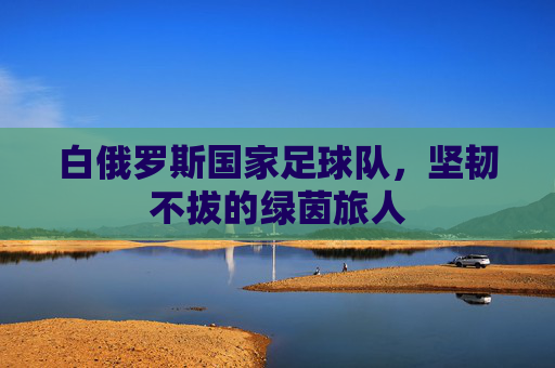 白俄罗斯国家足球队，坚韧不拔的绿茵旅人