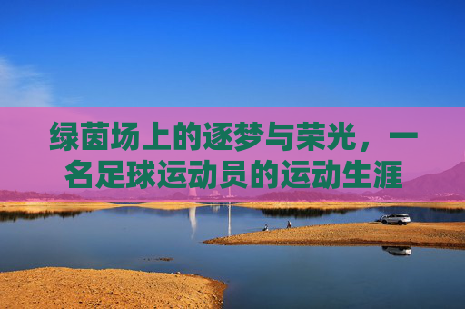 绿茵场上的逐梦与荣光，一名足球运动员的运动生涯