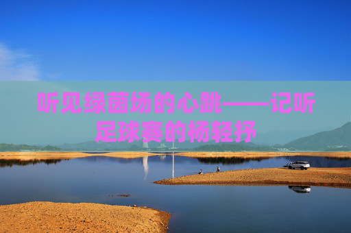 听见绿茵场的心跳——记听足球赛的杨轻抒