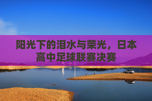 阳光下的泪水与荣光，日本高中足球联赛决赛