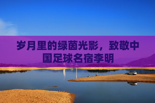 岁月里的绿茵光影,致敬中国足球名宿李明