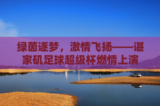 绿茵逐梦,激情飞扬——谌家矶足球超级杯燃情上演