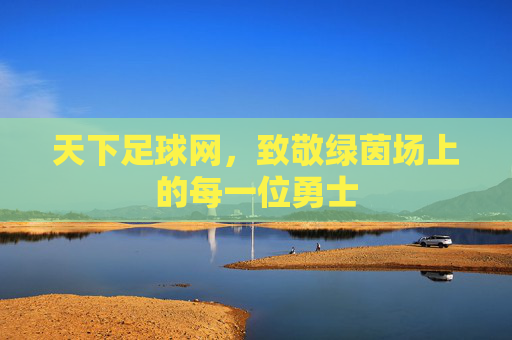 天下足球网,致敬绿茵场上的每一位勇士