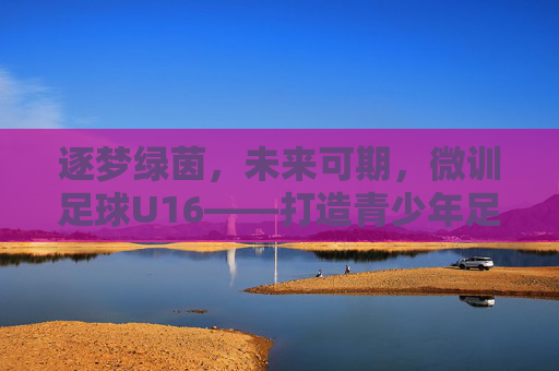 逐梦绿茵，未来可期，微训足球U16——打造青少年足球精英的摇篮