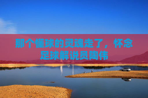 那个懂球的灵魂走了,怀念足球解说员陶伟