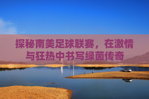 探秘南美足球联赛,在激情与狂热中书写绿茵传奇