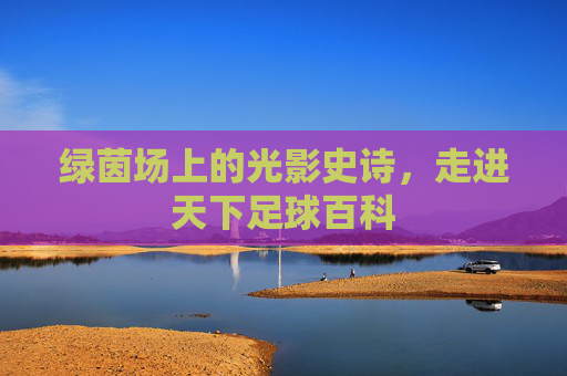 绿茵场上的光影史诗,走进天下足球百科