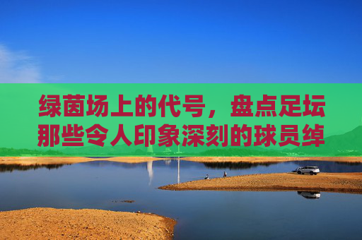 绿茵场上的代号,盘点足坛那些令人印象深刻的球员绰号