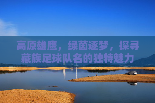 高原雄鹰,绿茵逐梦,探寻藏族足球队名的独特魅力