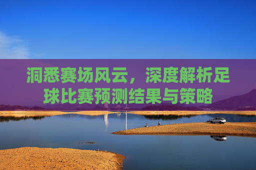 洞悉赛场风云,深度解析足球比赛预测结果与策略
