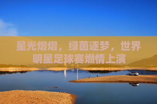 星光熠熠,绿茵逐梦,世界明星足球赛燃情上演