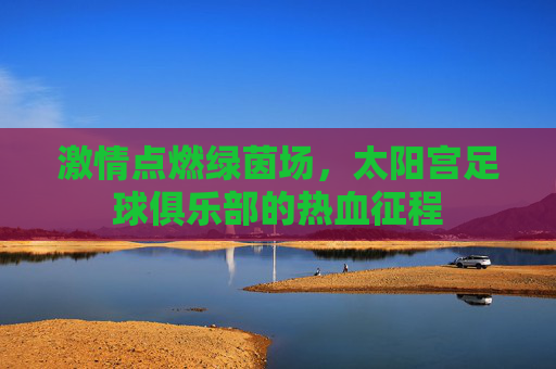激情点燃绿茵场,太阳宫足球俱乐部的热血征程